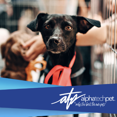 Cleaning Challenges in Multi-Species Animal Facilities (and How to Solve Them)      