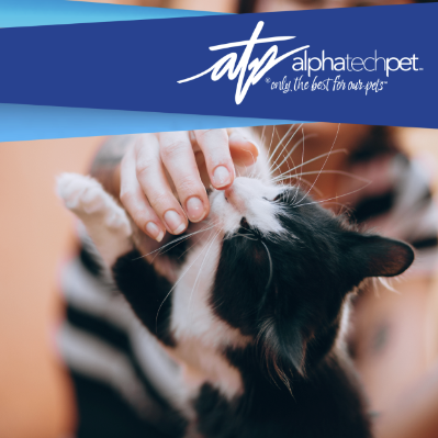 How Alpha Tech Pet Products Help Improve Daily Life for Rescue Animals  