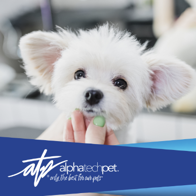 How Odor Elimination Products Can Help Rehome Pets Faster     