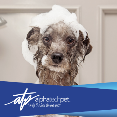 Why Every Pet Care Professional Needs Products That Prioritize Pet Health