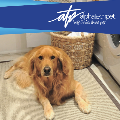 How Alpha Tech Pet Tackles Stains You Thought Were Permanent