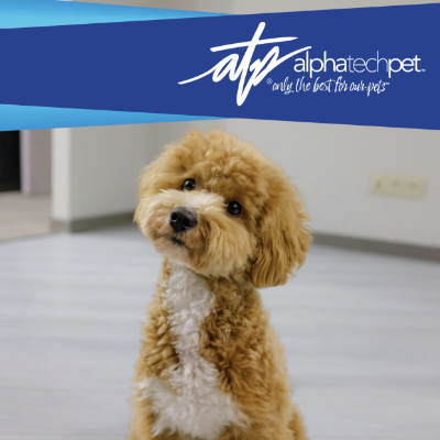 The Ultimate Guide to Removing Tough Pet Odors in Kennels and Homes