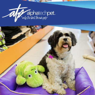 Preventing Stains & Odors in Pet Resorts: Expert Tips for Lasting Freshness