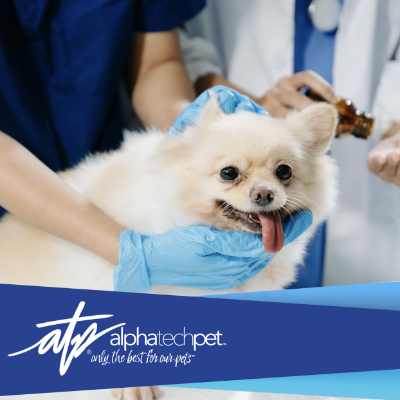 How Quality Cleaning Products Protect Animals and Staff Alike